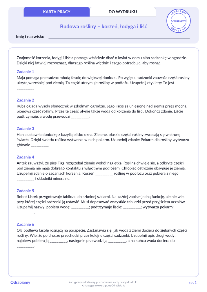 Budowa rośliny – korzeń, łodyga i liść